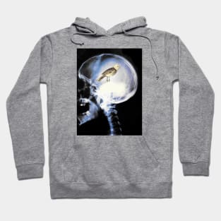 Bird brain Hoodie